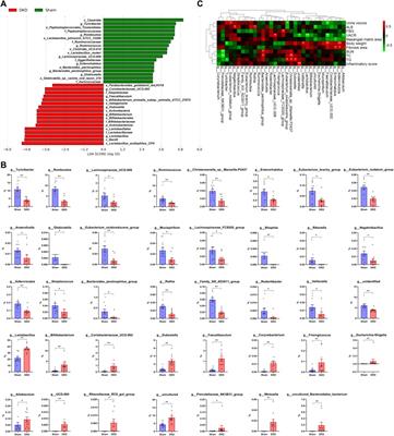 Characteristics of Serum Metabolites and Gut Microbiota in Diabetic Kidney Disease